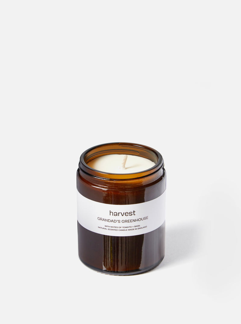 harvest 'Grandad's Greenhouse' candle - 6oz.